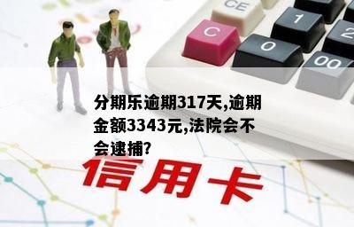 分期乐逾期317天,逾期金额3343元,法院会不会逮捕？