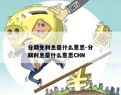 分期免利息是什么意思-分期利息是什么意思CHN