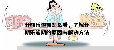 分期乐逾期怎么看，了解分期乐逾期的原因与解决方法