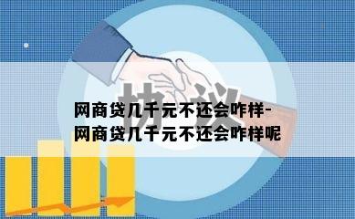 网商贷几千元不还会咋样-网商贷几千元不还会咋样呢