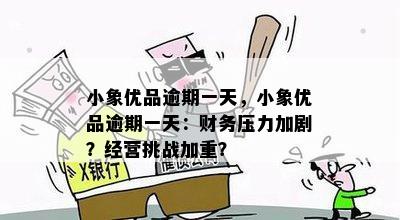 小象优品逾期一天，小象优品逾期一天：财务压力加剧？经营挑战加重？