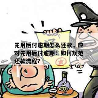 先用后付逾期怎么还款，应对先用后付逾期：如何规范还款流程？