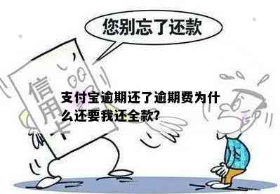 支付宝逾期还了逾期费为什么还要我还全款？