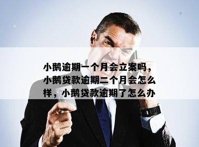 小鹅逾期一个月会立案吗，小鹅贷款逾期二个月会怎么样，小鹅贷款逾期了怎么办