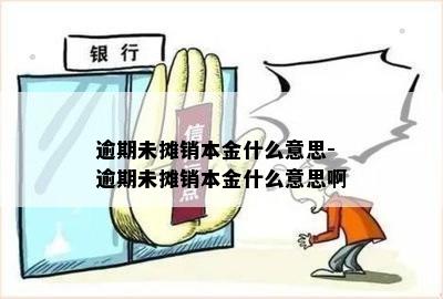 逾期未摊销本金什么意思-逾期未摊销本金什么意思啊