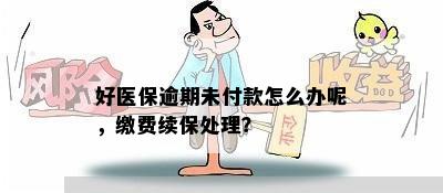 好医保逾期未付款怎么办呢，缴费续保处理？