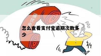 怎么查看支付宝逾期次数多少