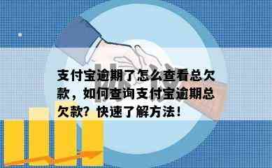 支付宝逾期了怎么查看总欠款，如何查询支付宝逾期总欠款？快速了解方法！