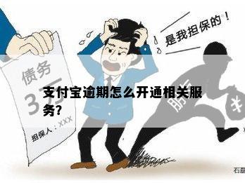 支付宝逾期怎么开通相关服务？