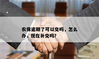 农保逾期了可以交吗，怎么办，现在补交吗？