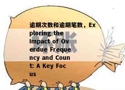 逾期次数和逾期笔数，Exploring the Impact of Overdue Frequency and Count: A Key Focus