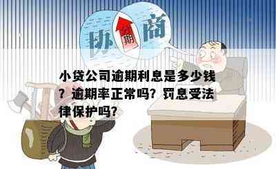 小贷公司逾期利息是多少钱？逾期率正常吗？罚息受法律保护吗？