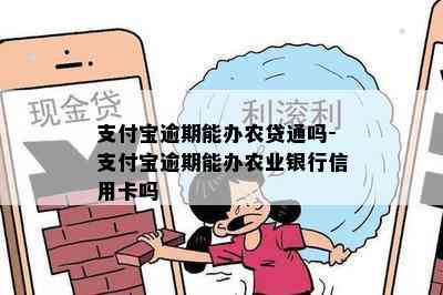 支付宝逾期能办农贷通吗-支付宝逾期能办农业银行信用卡吗