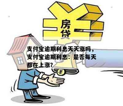 支付宝逾期利息天天涨吗，支付宝逾期利息：是否每天都在上涨？