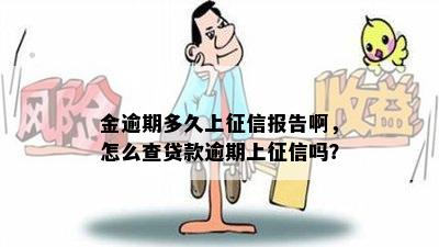 金逾期多久上征信报告啊，怎么查贷款逾期上征信吗？