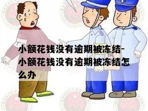 小额花钱没有逾期被冻结-小额花钱没有逾期被冻结怎么办