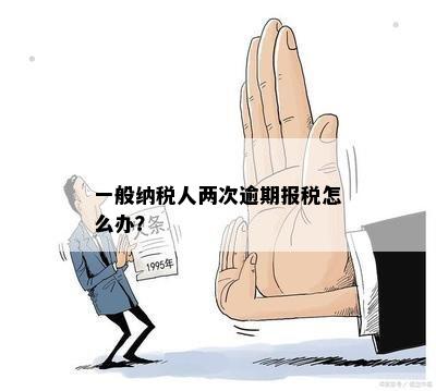 一般纳税人两次逾期报税怎么办？