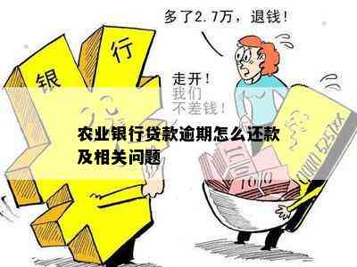 农业银行贷款逾期怎么还款及相关问题