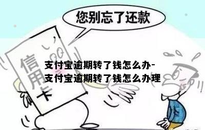 支付宝逾期转了钱怎么办-支付宝逾期转了钱怎么办理