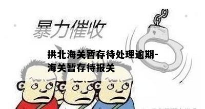 拱北海关暂存待处理逾期-海关暂存待报关