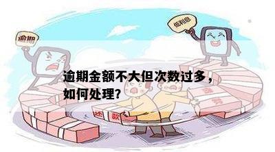 逾期金额不大但次数过多，如何处理？