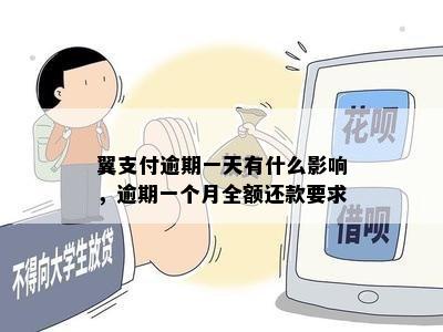 翼支付逾期一天有什么影响，逾期一个月全额还款要求