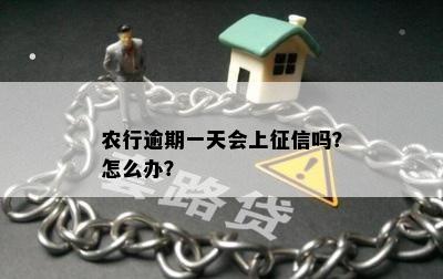 农行逾期一天会上征信吗？怎么办？