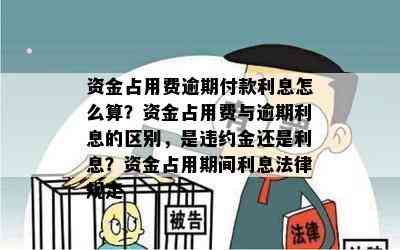 资金占用费逾期付款利息怎么算？资金占用费与逾期利息的区别，是违约金还是利息？资金占用期间利息法律规定