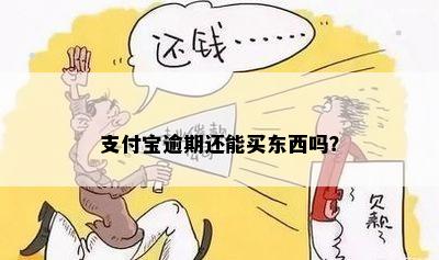 支付宝逾期还能买东西吗？