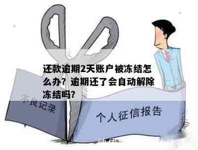 还款逾期2天账户被冻结怎么办？逾期还了会自动解除冻结吗？