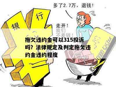 拖欠违约金可以315投诉吗？法律规定及判定拖欠违约金违约程度