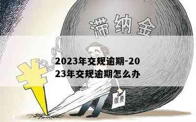 2023年交规逾期-2023年交规逾期怎么办