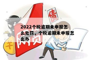 2022个税逾期未申报怎么处罚，个税逾期未申报怎么办