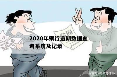 2020年银行逾期数据查询系统及记录