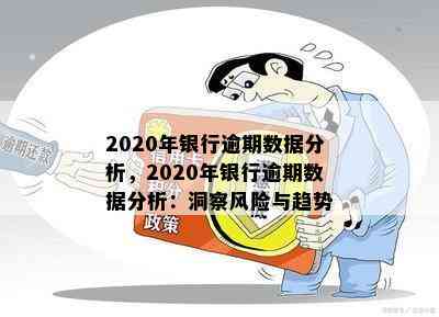 2020年银行逾期数据分析，2020年银行逾期数据分析：洞察风险与趋势