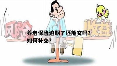 养老保险逾期了还能交吗？如何补交？