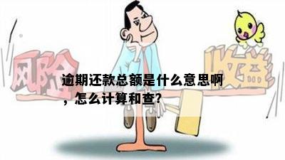 逾期还款总额是什么意思啊，怎么计算和查？