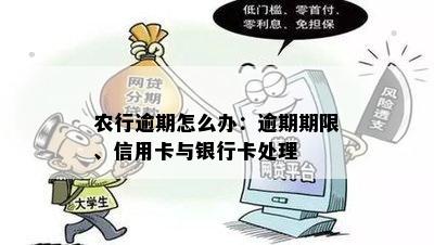 农行逾期怎么办：逾期期限、信用卡与银行卡处理