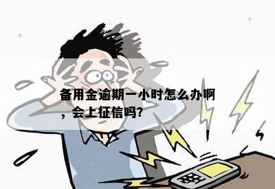 备用金逾期一小时怎么办啊，会上征信吗？