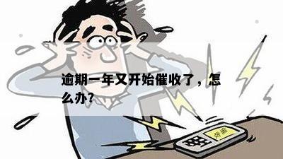 逾期一年又开始催收了，怎么办？