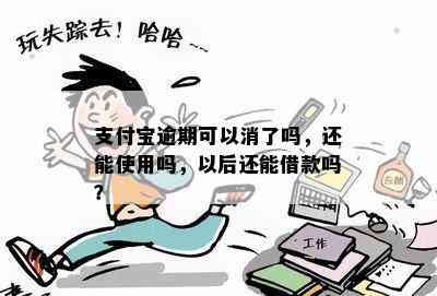 支付宝逾期可以消了吗，还能使用吗，以后还能借款吗？