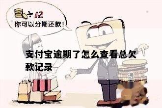 支付宝逾期了怎么查看总欠款记录