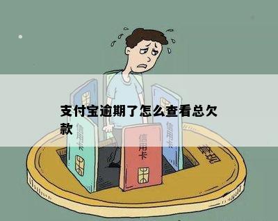 支付宝逾期了怎么查看总欠款