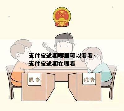 支付宝逾期哪里可以看看-支付宝逾期在哪看