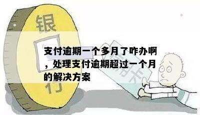 支付逾期一个多月了咋办啊，处理支付逾期超过一个月的解决方案