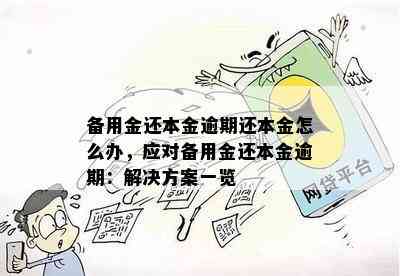 备用金还本金逾期还本金怎么办，应对备用金还本金逾期：解决方案一览