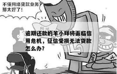 逾期还款的羊小咩将面临信用危机，征信受损无法贷款怎么办？