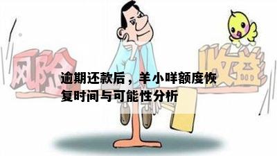 逾期还款后，羊小咩额度恢复时间与可能性分析