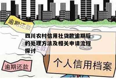 四川农村信用社贷款逾期后的处理方法及相关申请流程探讨