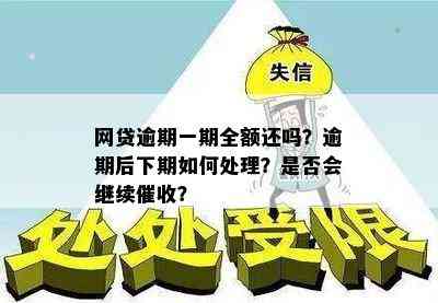 网贷逾期一期全额还吗？逾期后下期如何处理？是否会继续催收？